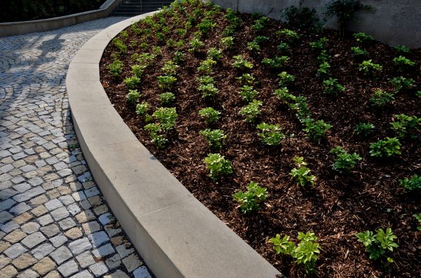 Retaining Wall Repair in San Ramon