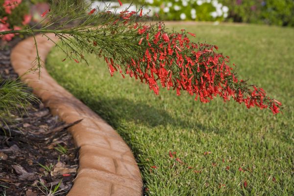 Brick Edging in San Ramon