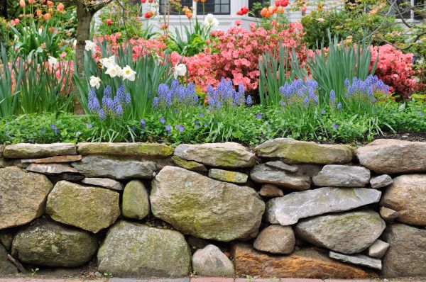 Stone Wall Hardscaping in San Ramon
