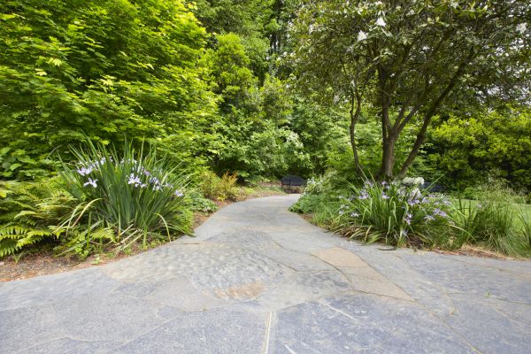 Stone Hardscape Service in San Ramon